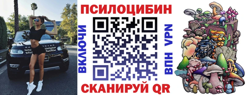 что такое Белогорск Галлюциногенные грибы Psilocybe