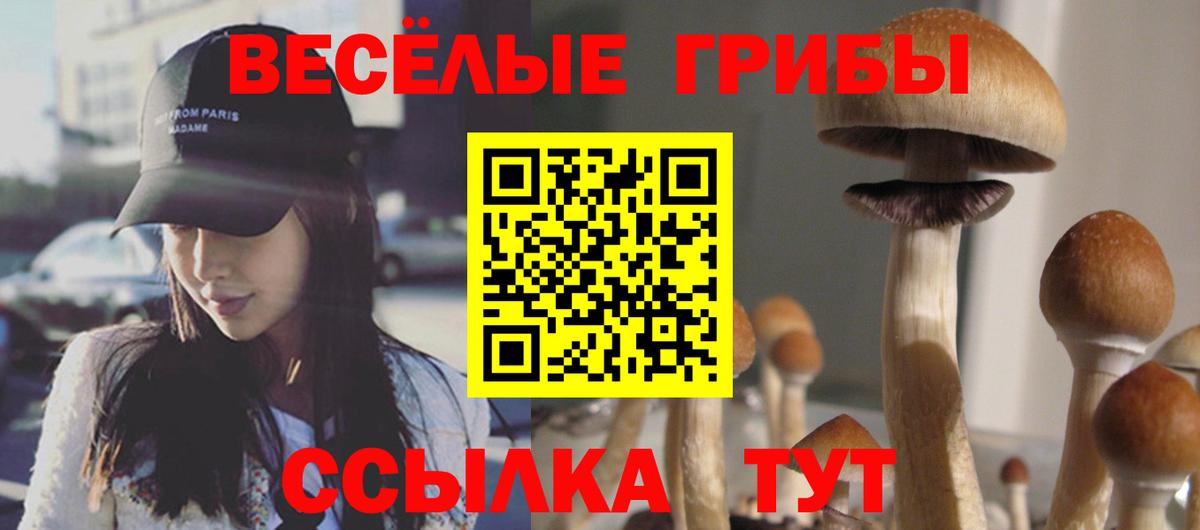 Галлюциногенные грибы Cubensis Белогорск